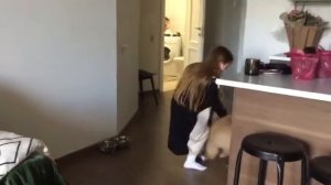 Подарили собаку на день рождения!