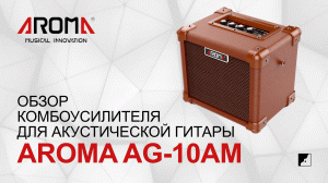 Обзор комбоусилителя для акустической гитары AROMA AG-10AM