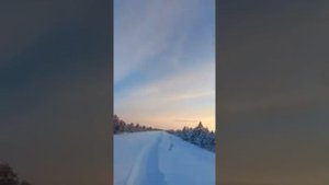 Тайга варяг 550v с санями дорога на озеро