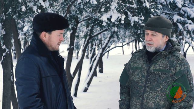 Существование диких птиц - возможность жить для человека  экологично.