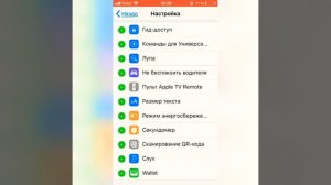 Как сделать запись экрана на IPhone?🤔
