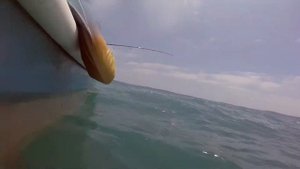 Trolling for Barracuda with Rapala X Rap Magnum 30 | Pesca de barracuda con rapala