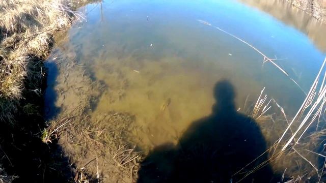 Открыл сезон.Ловля голавля и жереха.FANATIK LARVA смотреть онлайн