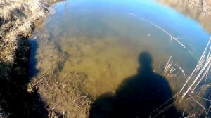 Открыл сезон.Ловля голавля и жереха.FANATIK LARVA