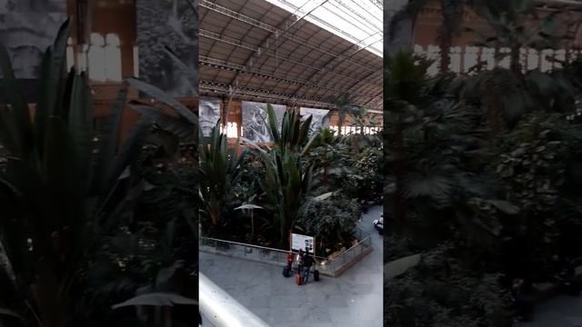 Мадридский вокзал Atocha 29.12.19