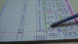 КАКОЕ РАССТОЯНИЕ МЕЖДУ ТОМАТАМИ В ЛУНКЕ ПРИ СДВОЕННОЙ ПОСАДКЕ. Ольга Чернова.