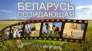 Производство сыра | Белорусская молочка | Тонкости сыроделия. Беларусь созидающая