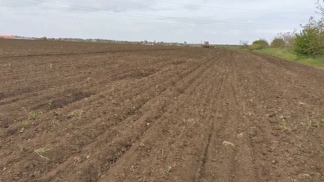 Посеяли кукурузу Краснодарская 291. смотреть онлайн