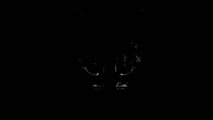 Жуткие лица Симбы МЕГА ВЕРСИЯЯЯ! (120 фаз)