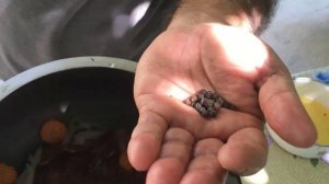 ТУШЕНОЕ МЯСО в АФГАНСКОМ КАЗАНЕ | AVGON QOZONDA TUSHONKA | пошаговый рецепт