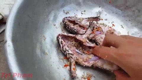 Пищевая искусство пищевые приключения Традиционная пища натуральные пищевые продукты удивительные б