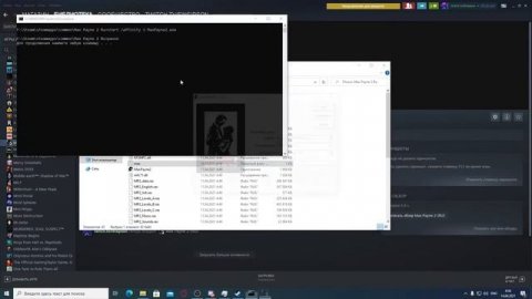 Фиксим проблему запуска MaxPayne2 в Steam