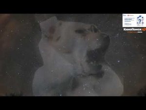 Смотрим видосики с Dawg и MightyPoot