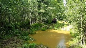 Квадрики в грязи. Демидовские болота 2018