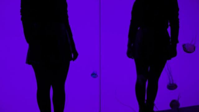 Øfdream - The Golden Age смотреть онлайн