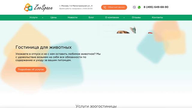 Как выбрать гостиницу для собаки