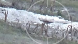 Снайпер ликвидирует боевика ВСУ в районе Белогоровки.