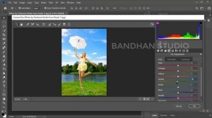 How to Change Backgrund Color Adobe Photoshop CC Camera  Raw Filter