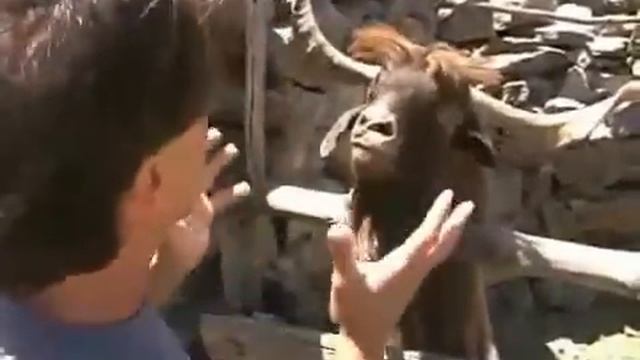 Форумный разговор смотреть онлайн