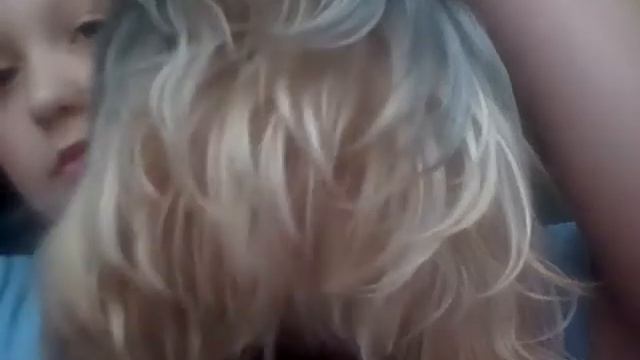Как правильно расчёсывать собак