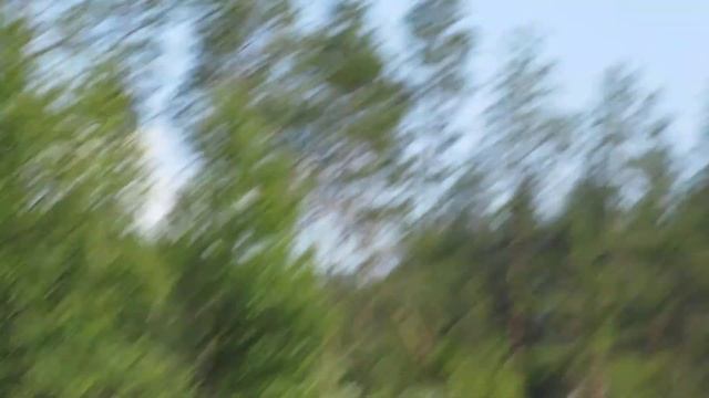 MVI 3202 Скалы Онежского озера. Карелия. Пудожский район. смотреть онлайн