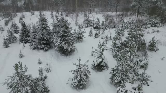 Снежное слово зимы!