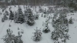 Снежное слово зимы!