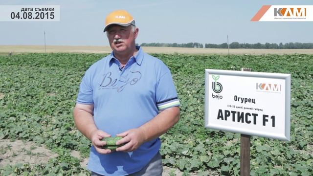 Огурец Артист F1. Характеристики гибрида смотреть онлайн