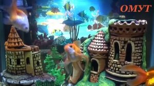 415. МОЛИТВА НА НЕИЗВЕСТНОГО ВРАГА...