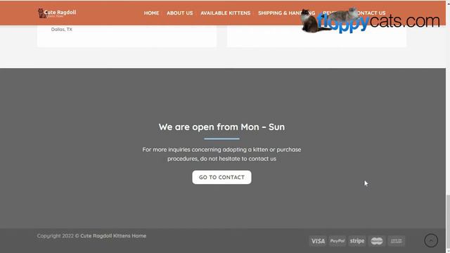 How to Spot a Kitten Scam Online: Ragdoll Kitten Scams смотреть онлайн