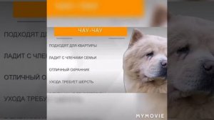 Собаки для знака зодиака«Телец» ♉.