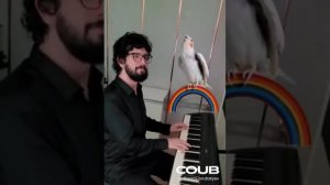 Птица певчая