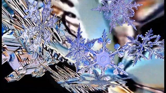 Футаж Снежинки под микроскопом Footage Snowflakes under a microscope 000789 смотреть онлайн