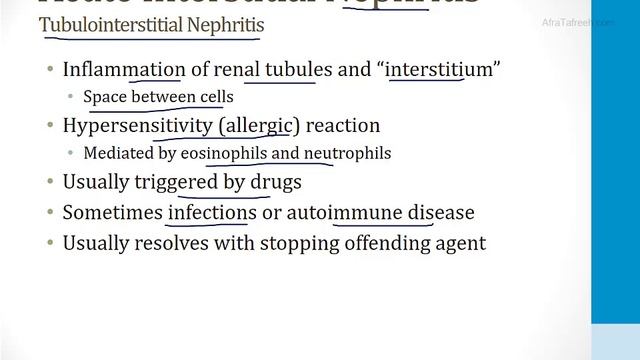 Почки USMLE - 4. Заболевания нефрона - 5.Тубулоинтерстициальная болезнь (Boards and Beyond)