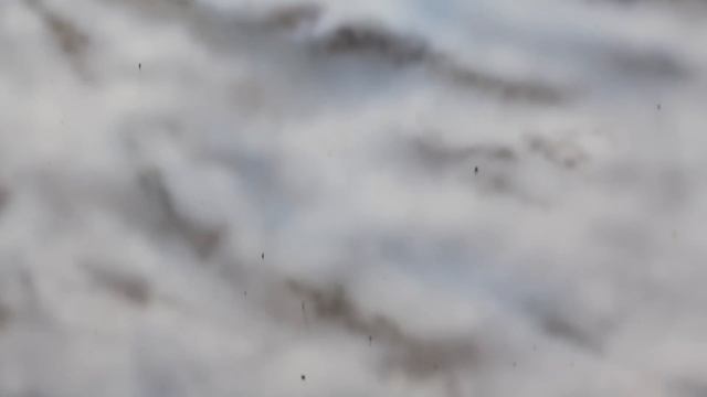 Глубокая очистка ЛКП - Уроки детейлинга от Revolab смотреть онлайн