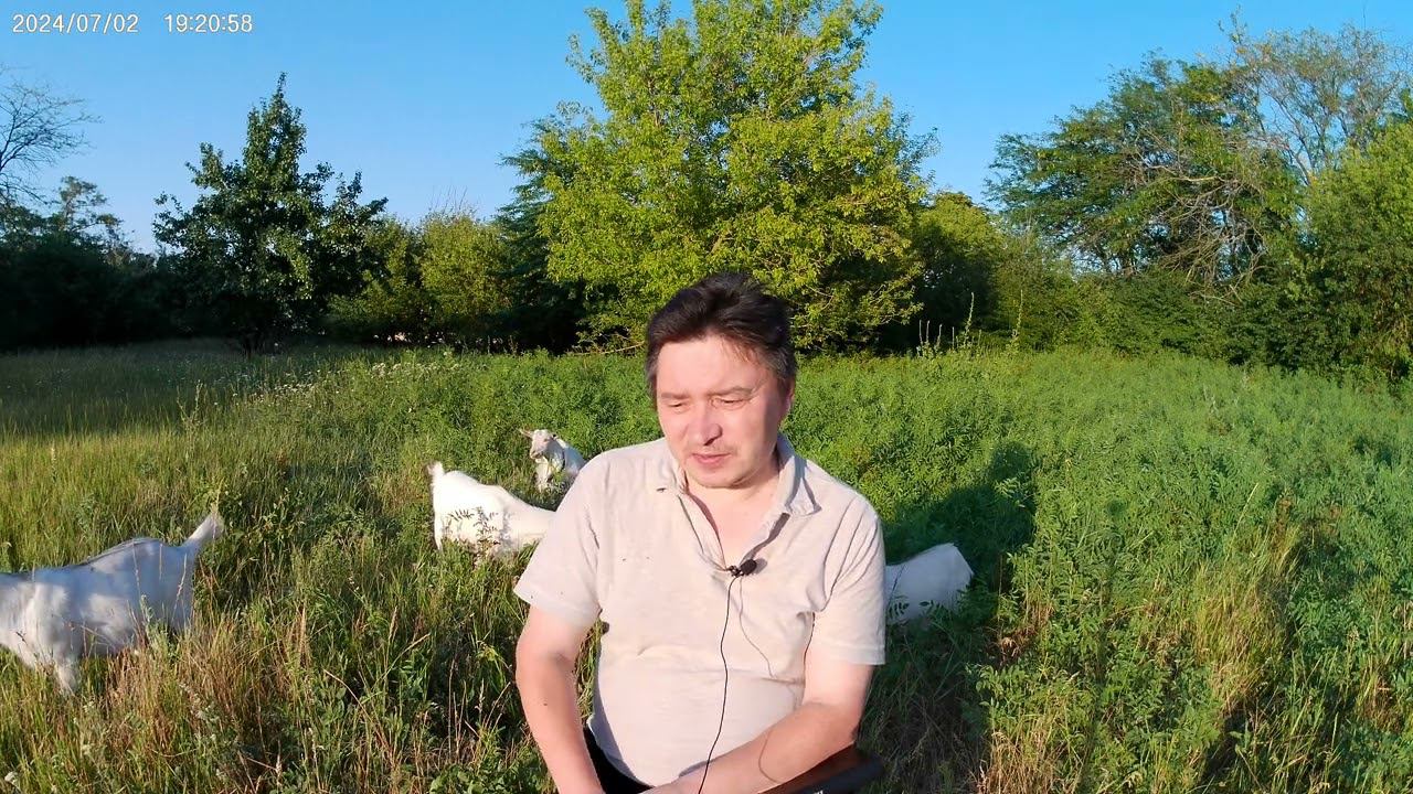 Начатки святости