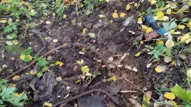 Все тросы сезона. Как сдавать тросы? смотреть онлайн