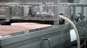 Получение филе лосося (работа машин CHSF 1; CHPB 2; CHSIJ-1000) (пр-во Ю.Корея), (ООО "Владфризинг")