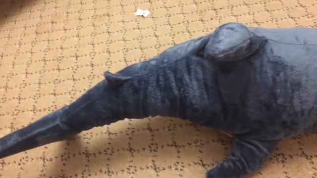 Обзор на акулу из IKEA смотреть онлайн