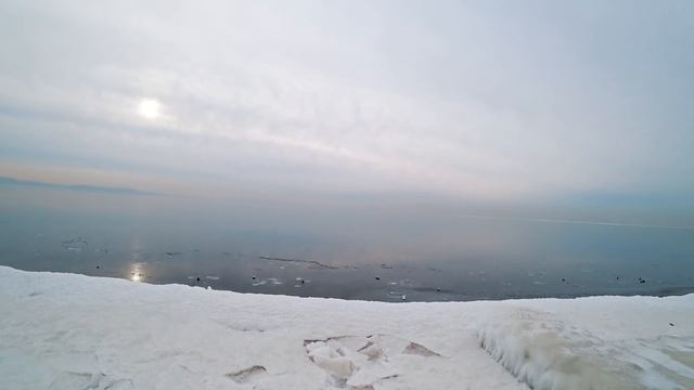 Волга, Куйбышевское водохранилище. Проверка ледовой обстановки. смотреть онлайн