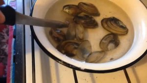 Как варить моллюсков.