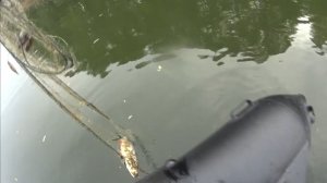 Рыбалка на Оке. Поймал брошенную сеть браконьеров.