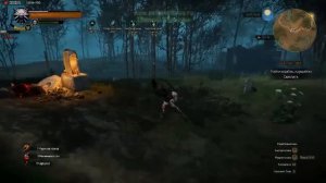 Ведьмак 3 Гаргулья или как убить Гаргулья