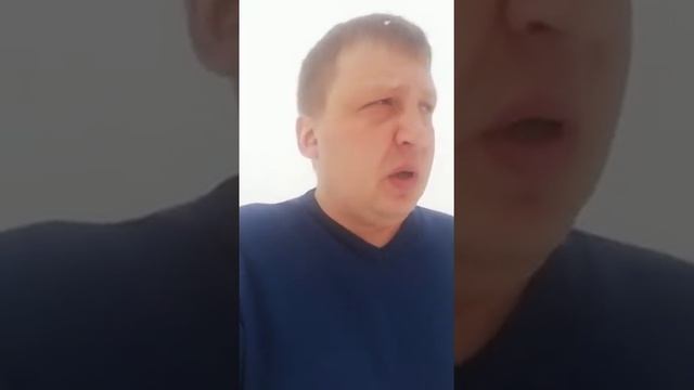 Водитель, наехавший на стаю собак в Цивильске, публично извинился смотреть онлайн