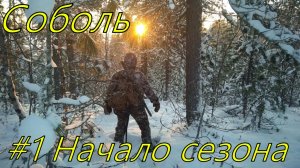 ОХОТА НА СОБОЛЯ Серия №1