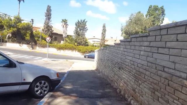 КРАСИВЫЕ ДЕРЕВЬЯ НА КАРМЕЛЕ