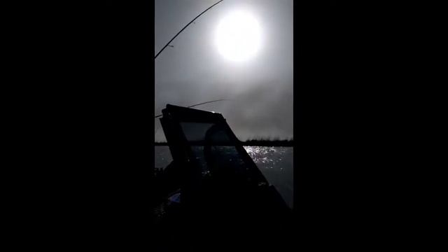Рыбалка в Астраханской области осенью 2021 года .Бешеный клёв жереха!!!