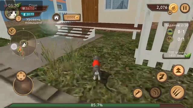 Симулятор кошки?? смотреть онлайн