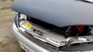 Газовые упоры капота на Калину 2118