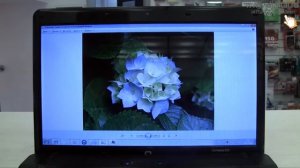 Видеообзор ноутбука HP Compaq 615